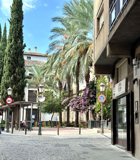 Apartamentos la Catedral de Jaén